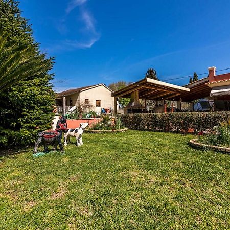 Antonela Sunshine Apartment By Corfu Escapes Perama  Luaran gambar